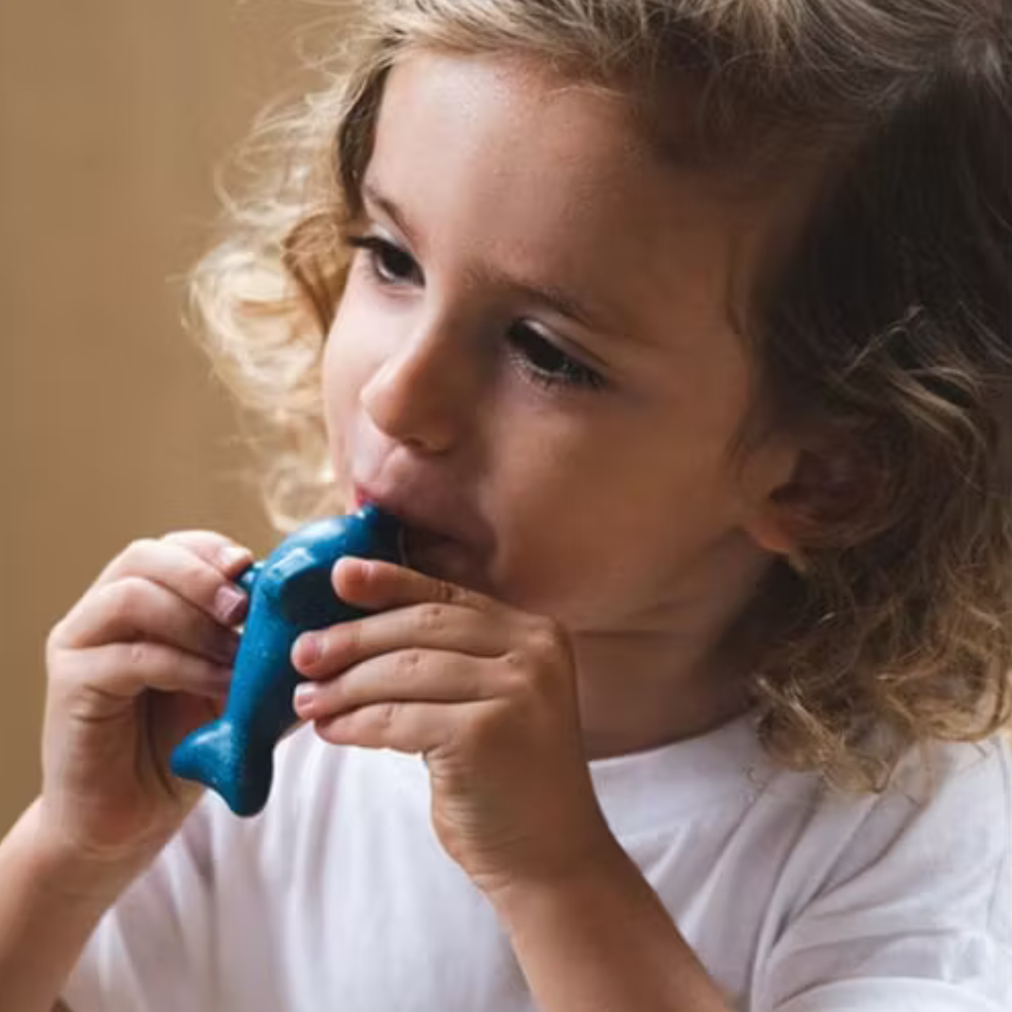 Delfinvissla – PlanToys